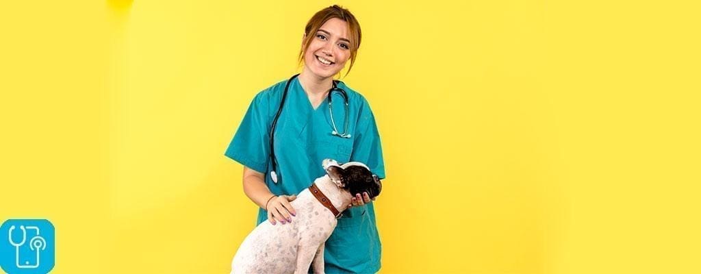 ۱۰ بیماری شایع در سگ ها و شناخت علائم آن به کمک دامپزشک