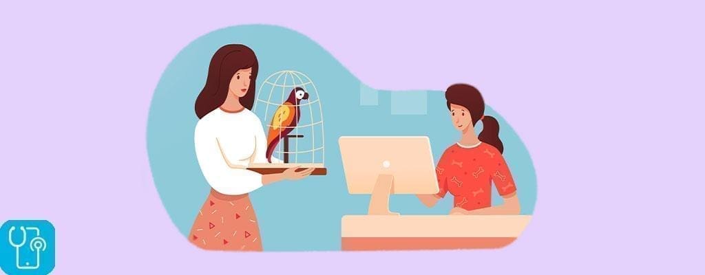 درمان پرندگان خانگی با ویزیت دامپزشکی آنلاین