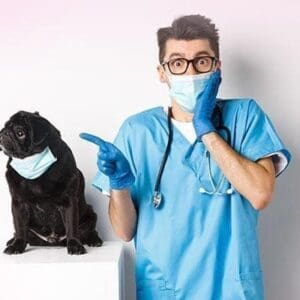 کرونای حیوانات خانگی و سایت دامپزشکی