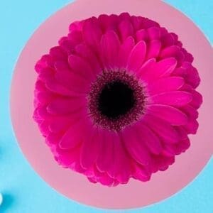 واژینیسموس