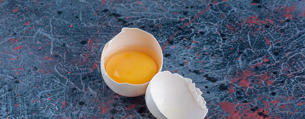 زرده تخم مرغ در بدنسازی