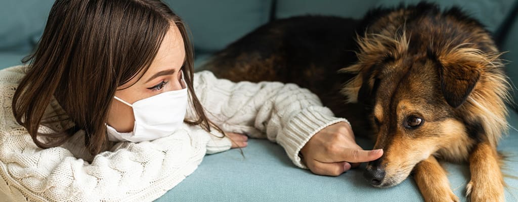 آلرژی انسان به سگ